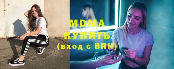 шишки Бородино