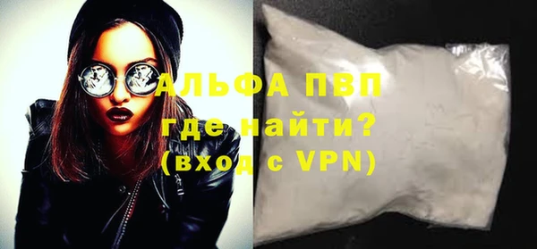 шишки Верея