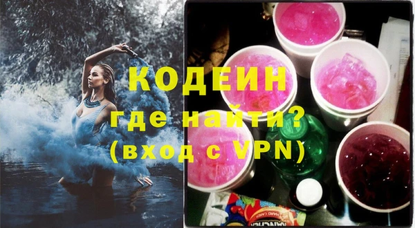 шишки Верея