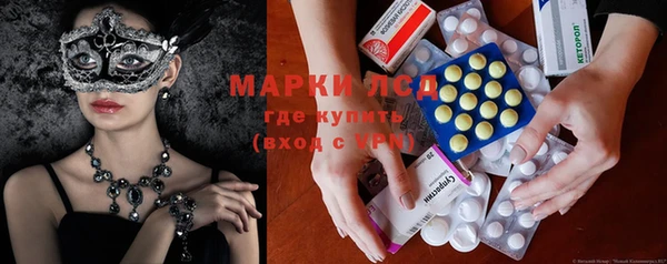 шишки Верея