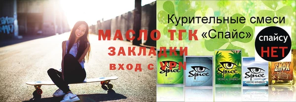 шишки Верея