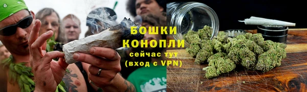 шишки Верея