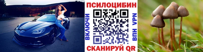 Галлюциногенные грибы GOLDEN TEACHER  Киренск 